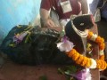 Mayapur Dham Cz. II