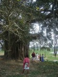 Mayapur Dham Cz. II