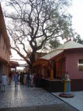 Mayapur Dham Cz. II