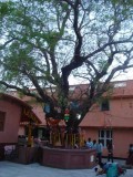 Mayapur Dham Cz. II