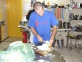 B�g si� rodzi !!!!